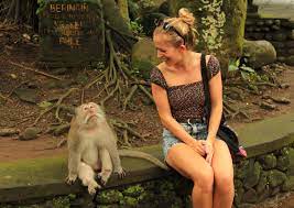 Monkey-Forest-bali
