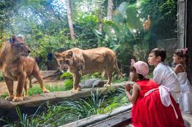 bali-zoo