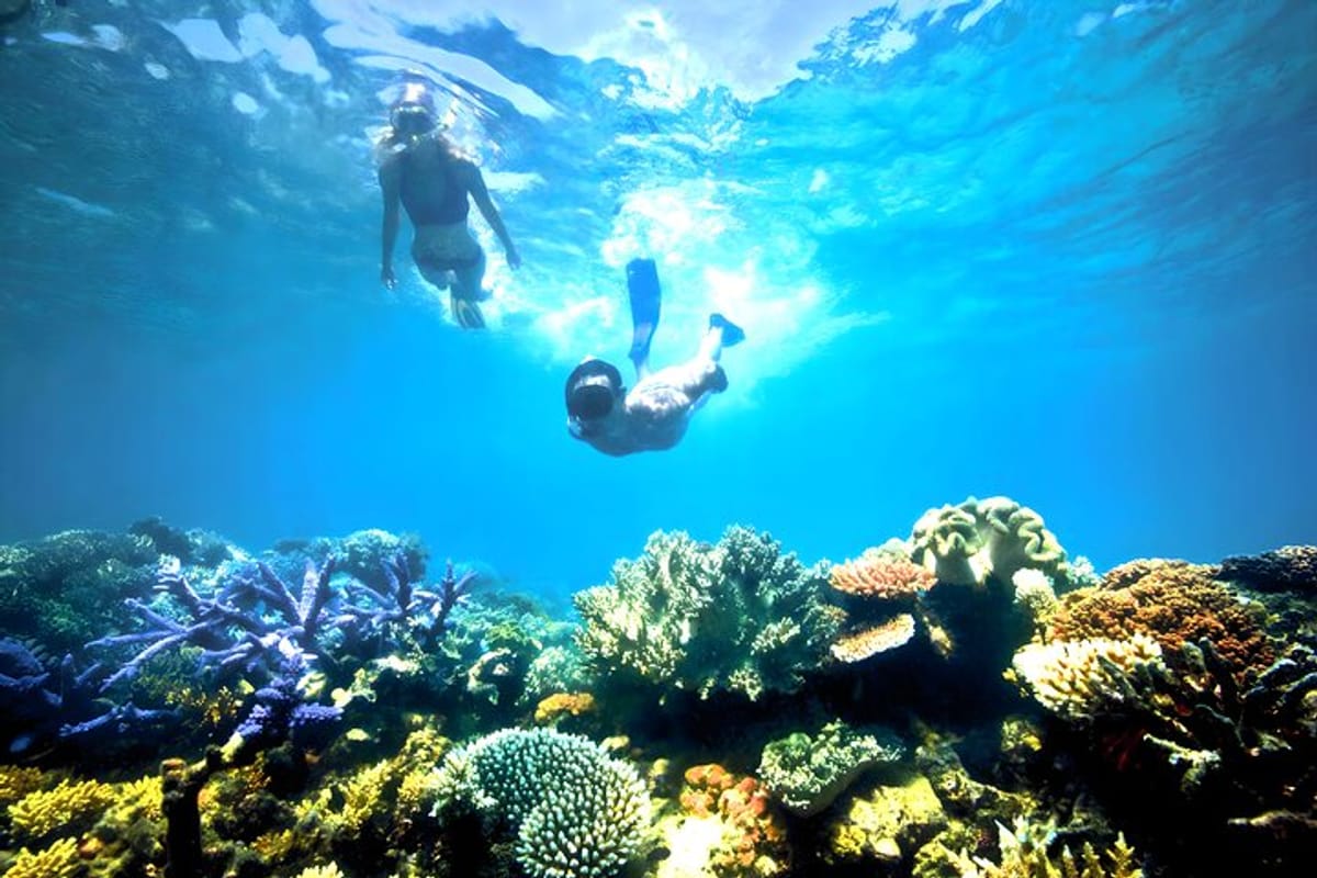 d52e69cb-f3bf-44d9-a2d2-bc173a154bf2_snorkeling-in-blue-lagoon-padang-bai-bali-snorkel-in-the-clear-blue-waters-large (1)