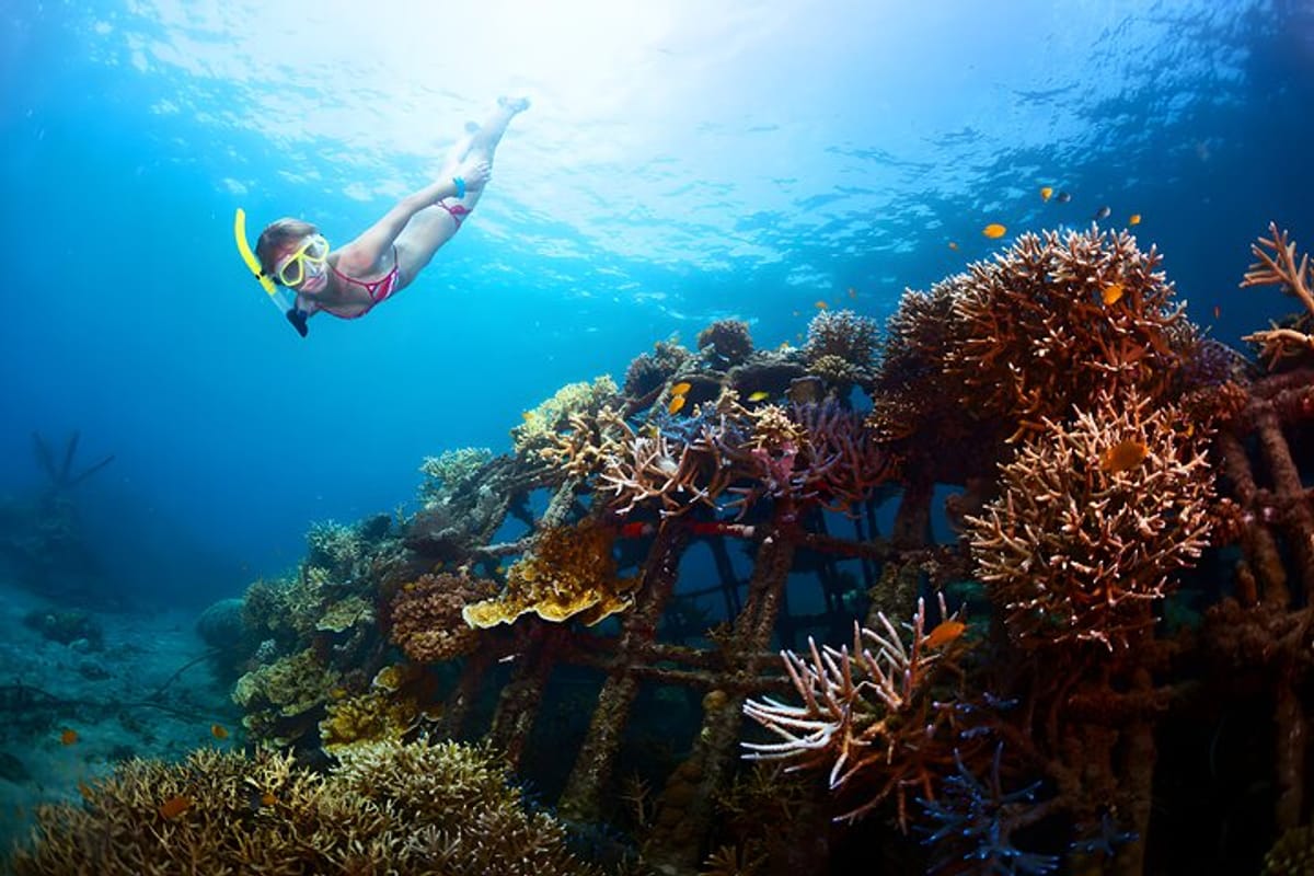 efec61d5-7506-4698-b2e4-f4d5513f5432_snorkeling-in-blue-lagoon-padang-bai-bali-snorkel-in-the-clear-blue-waters-large