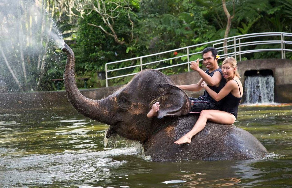 elephant-safari-park-lodge-bali20191019091429